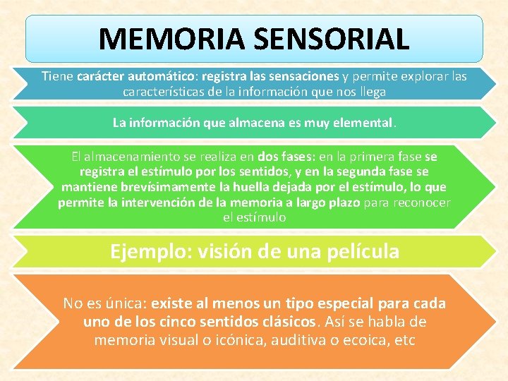 MEMORIA SENSORIAL Tiene carácter automático: registra las sensaciones y permite explorar las características de