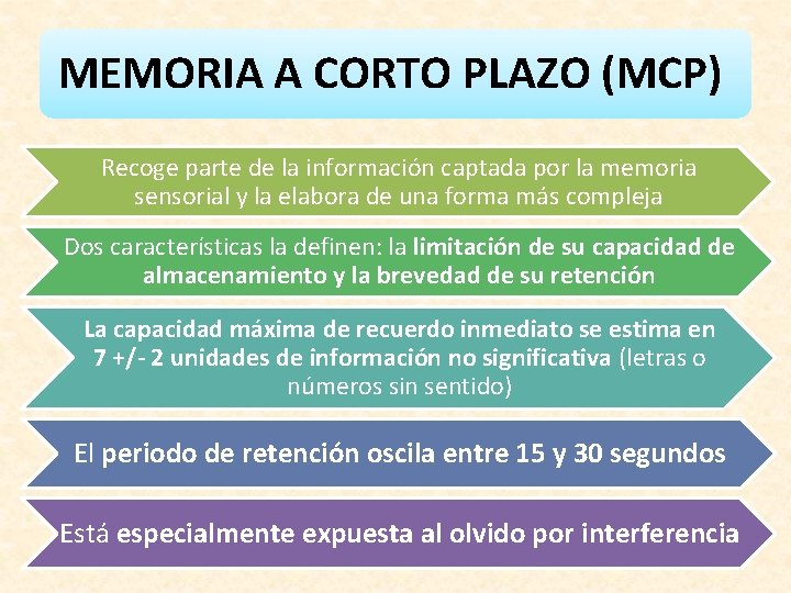 MEMORIA A CORTO PLAZO (MCP) Recoge parte de la información captada por la memoria