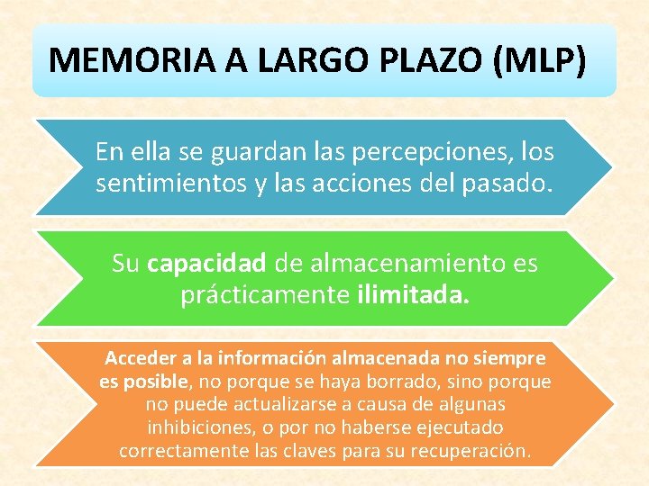 MEMORIA A LARGO PLAZO (MLP) En ella se guardan las percepciones, los sentimientos y