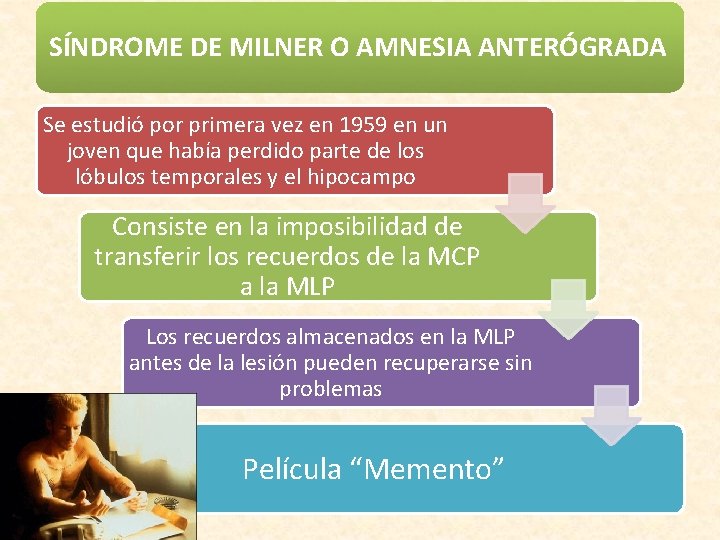 SÍNDROME DE MILNER O AMNESIA ANTERÓGRADA Se estudió por primera vez en 1959 en