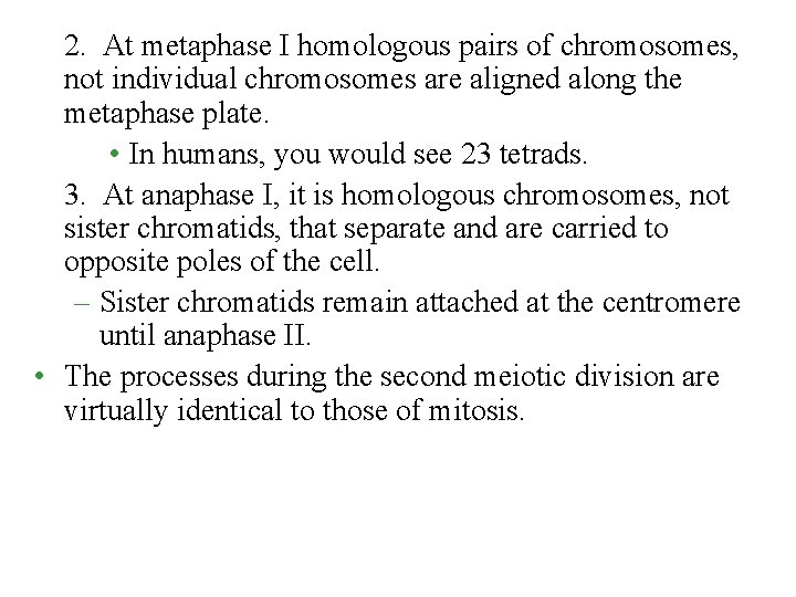2. At metaphase I homologous pairs of chromosomes, not individual chromosomes are aligned along