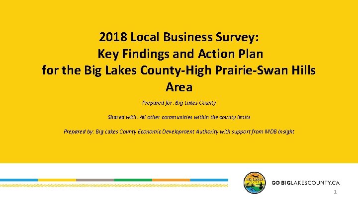 2018 Local Business Survey: Key Findings and Action Plan for the Big Lakes County-High