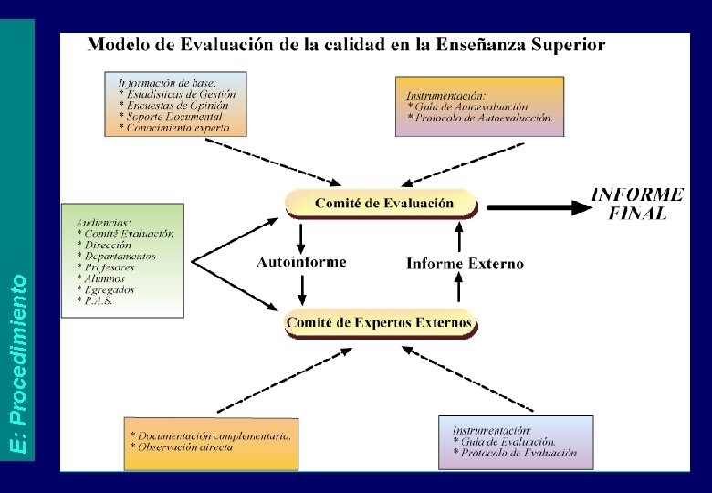 E: Procedimiento 