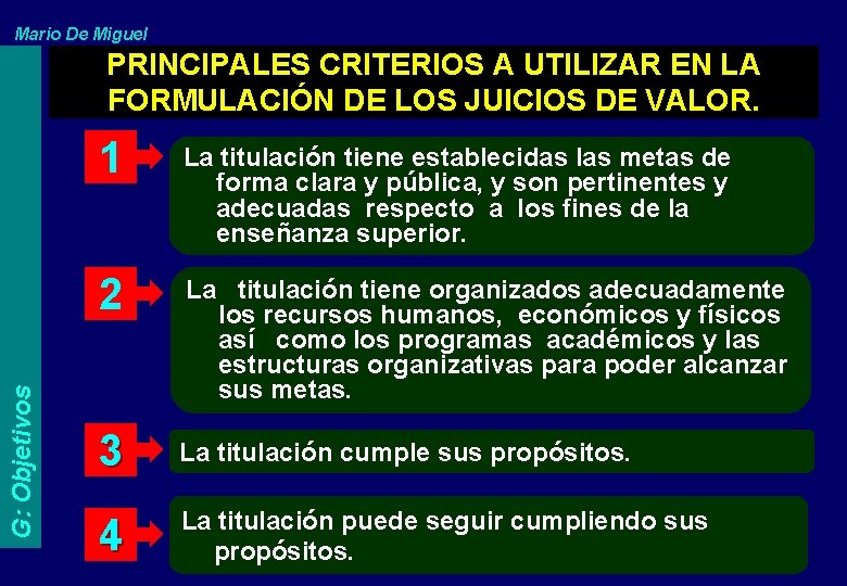 Mario De Miguel G: Objetivos PRINCIPALES CRITERIOS A UTILIZAR EN LA FORMULACIÓN DE LOS