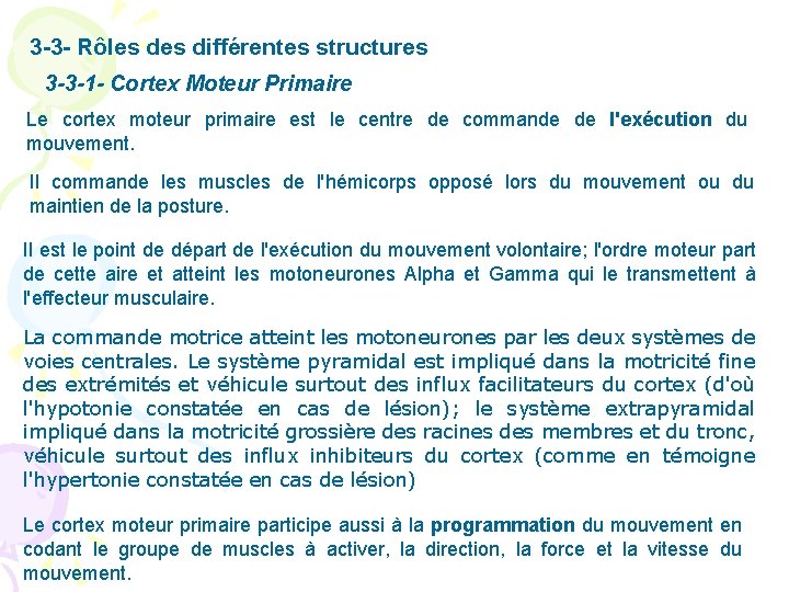 3 -3 - Rôles différentes structures 3 -3 -1 - Cortex Moteur Primaire Le