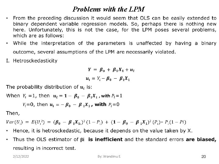Problems with the LPM 2/12/2022 By: Wondimu E. 20 