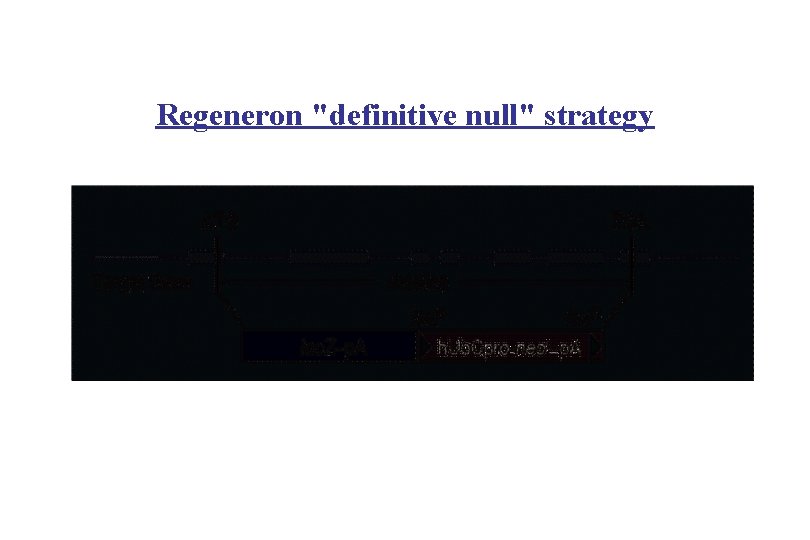 Regeneron "definitive null" strategy . 