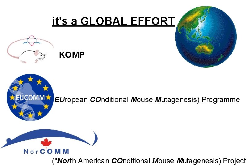 it’s a GLOBAL EFFORT KOMP EUCOMM (“EUropean COnditional Mouse Mutagenesis) Programme (“North American COnditional