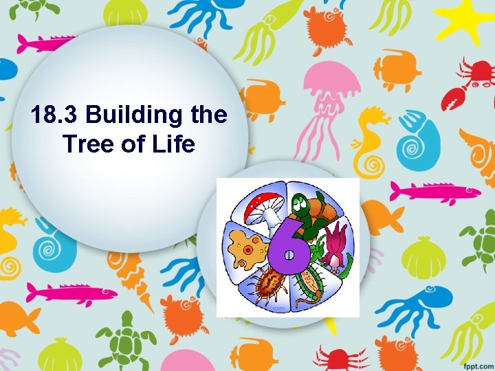 18. 3 Building the Tree of Life 