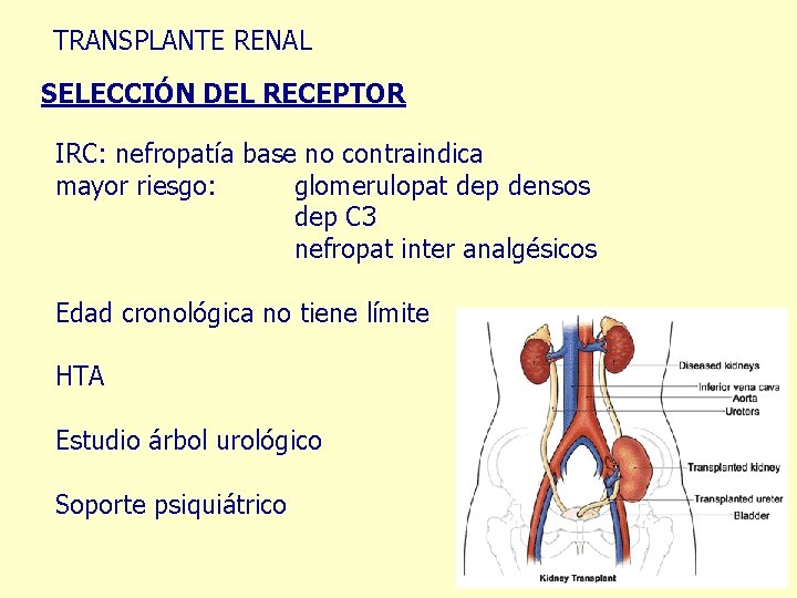 TRANSPLANTE RENAL SELECCIÓN DEL RECEPTOR IRC: nefropatía base no contraindica mayor riesgo: glomerulopat dep