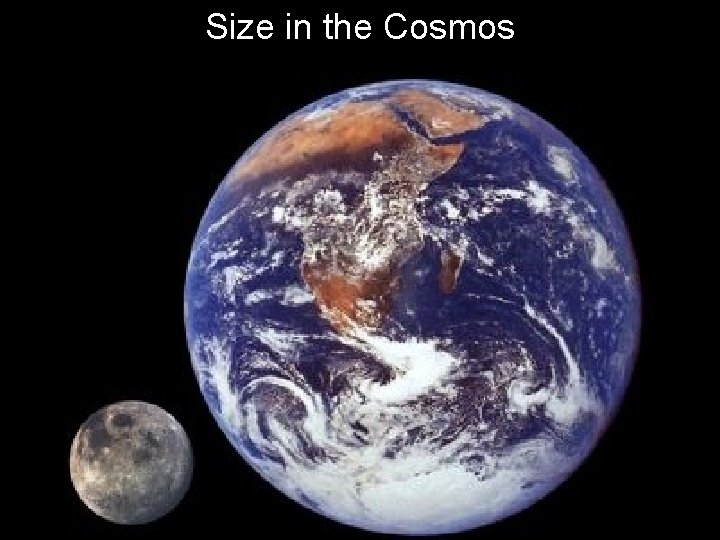 Size in the Cosmos 