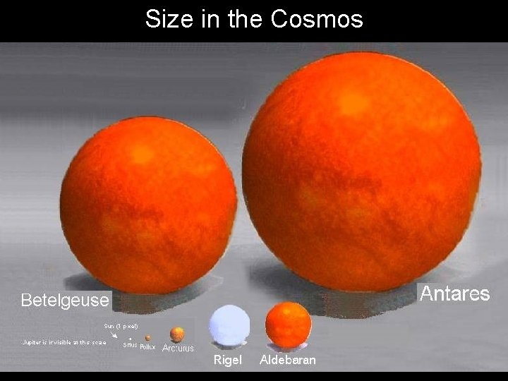 Size in the Cosmos 