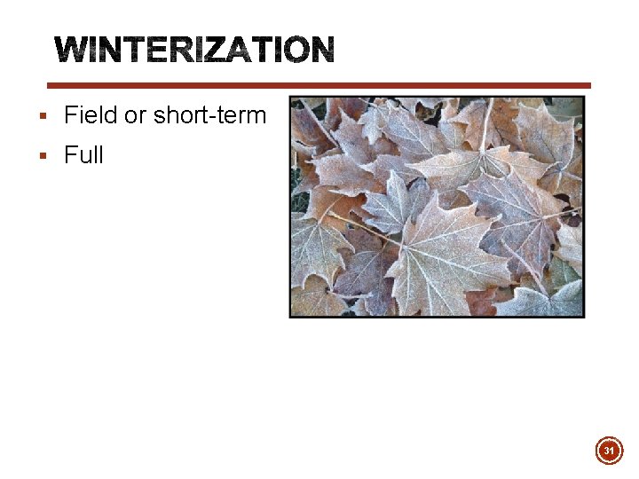 § Field or short-term § Full 31 