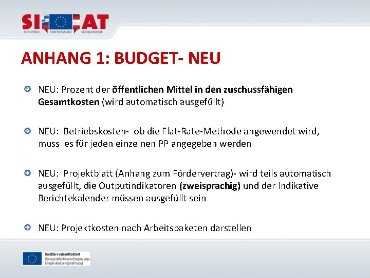 ANHANG 1: BUDGET- NEU: Prozent der öffentlichen Mittel in den zuschussfähigen Gesamtkosten (wird automatisch