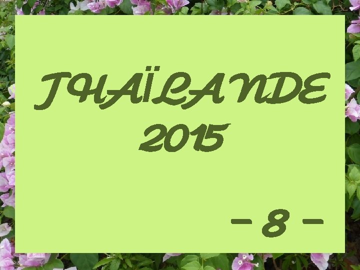 THAÏLANDE 2015 -8 - 