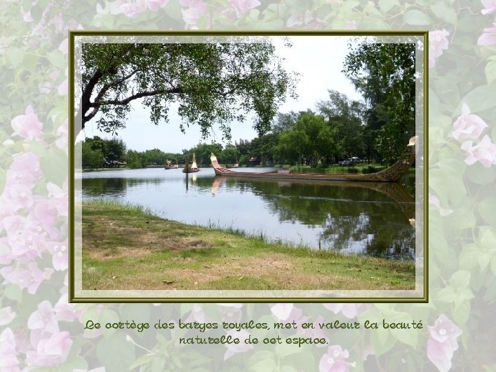 Le cortège des barges royales, met en valeur la beauté naturelle de cet espace.