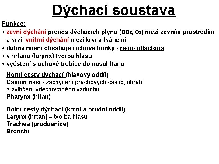 Dýchací soustava Funkce: • zevní dýchání přenos dýchacích plynů (CO 2, O 2) mezi