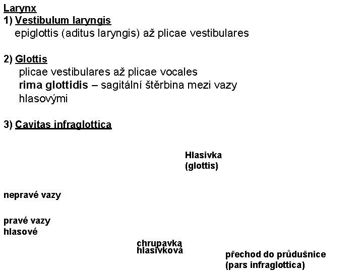 Larynx 1) Vestibulum laryngis epiglottis (aditus laryngis) až plicae vestibulares 2) Glottis plicae vestibulares