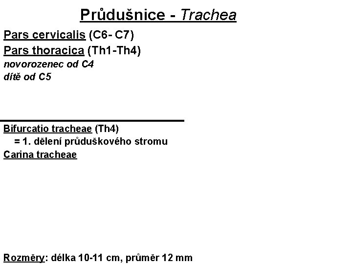 Průdušnice - Trachea Pars cervicalis (C 6 - C 7) Pars thoracica (Th 1