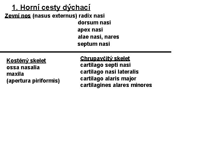 1. Horní cesty dýchací Zevní nos (nasus externus) radix nasi dorsum nasi apex nasi