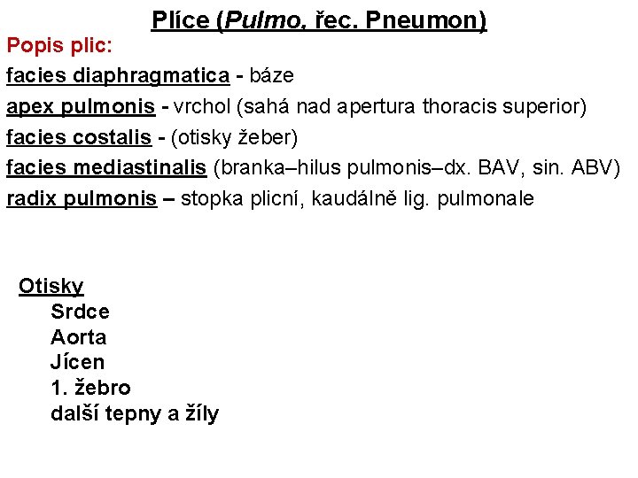 Plíce (Pulmo, řec. Pneumon) Popis plic: facies diaphragmatica - báze apex pulmonis - vrchol