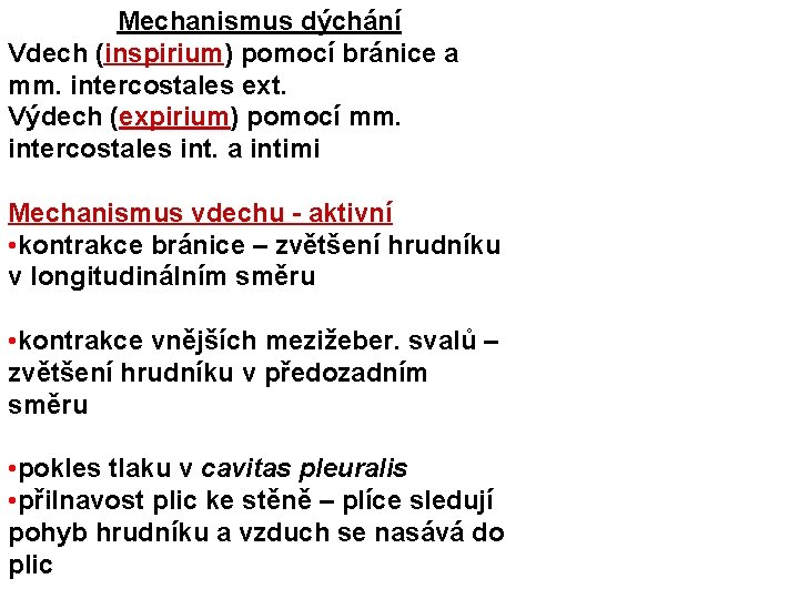 Mechanismus dýchání Vdech (inspirium) pomocí bránice a mm. intercostales ext. Výdech (expirium) pomocí mm.