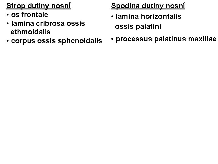 Strop dutiny nosní • os frontale • lamina cribrosa ossis ethmoidalis • corpus ossis