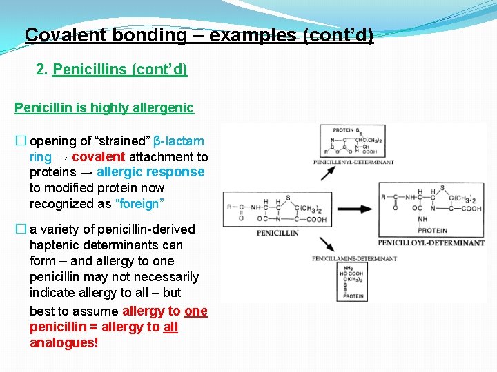 Covalent bonding – examples (cont’d) 2. Penicillins (cont’d) Penicillin is highly allergenic � opening