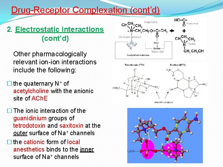 Drug-Receptor Complexation (cont’d) 2. Electrostatic interactions (cont’d) Other pharmacologically relevant ion-ion interactions include the