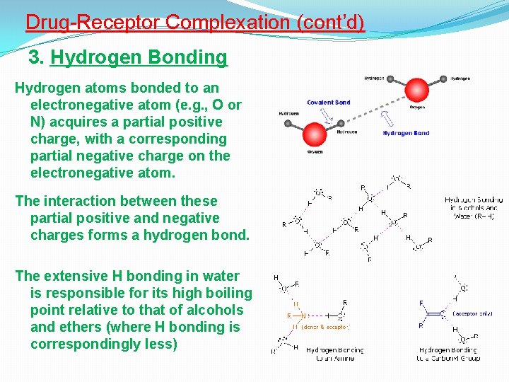 Drug-Receptor Complexation (cont’d) 3. Hydrogen Bonding Hydrogen atoms bonded to an electronegative atom (e.