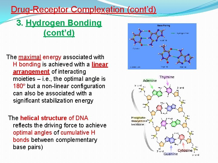 Drug-Receptor Complexation (cont’d) 3. Hydrogen Bonding (cont’d) The maximal energy associated with H bonding