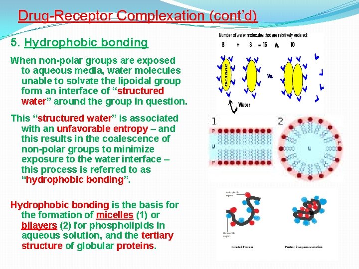 Drug-Receptor Complexation (cont’d) 5. Hydrophobic bonding When non-polar groups are exposed to aqueous media,