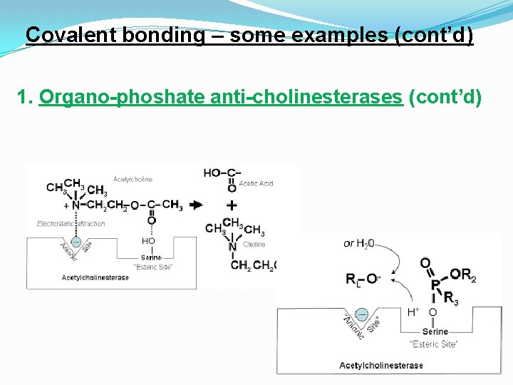 Covalent bonding – some examples (cont’d) 1. Organo-phoshate anti-cholinesterases (cont’d) 