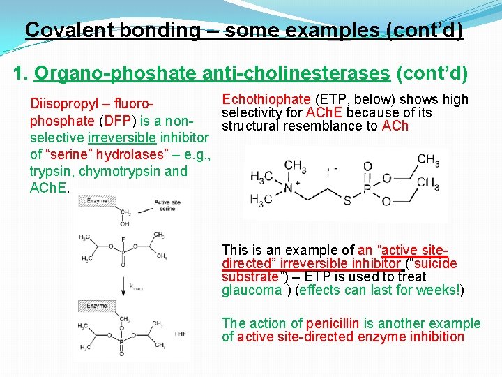 Covalent bonding – some examples (cont’d) 1. Organo-phoshate anti-cholinesterases (cont’d) Echothiophate (ETP, below) shows