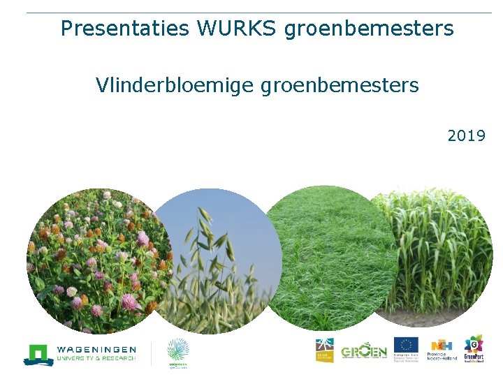 Presentaties WURKS groenbemesters Vlinderbloemige groenbemesters 2019 