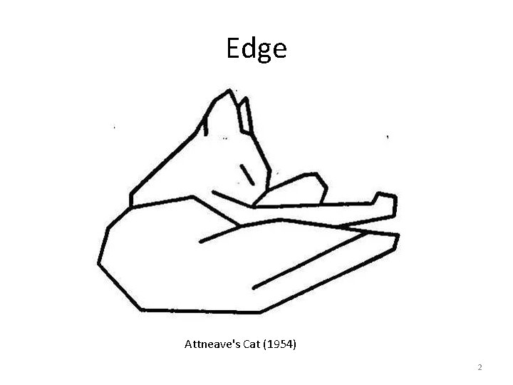 Edge Attneave's Cat (1954) 2 