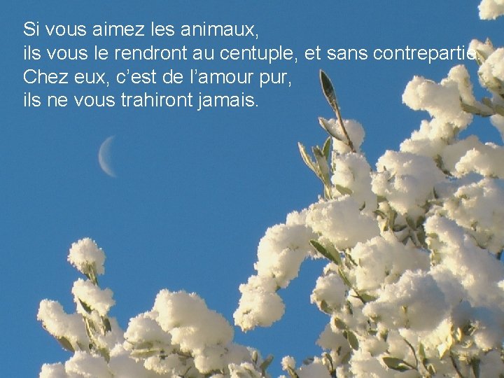 Si vous aimez les animaux, ils vous le rendront au centuple, et sans contrepartie.