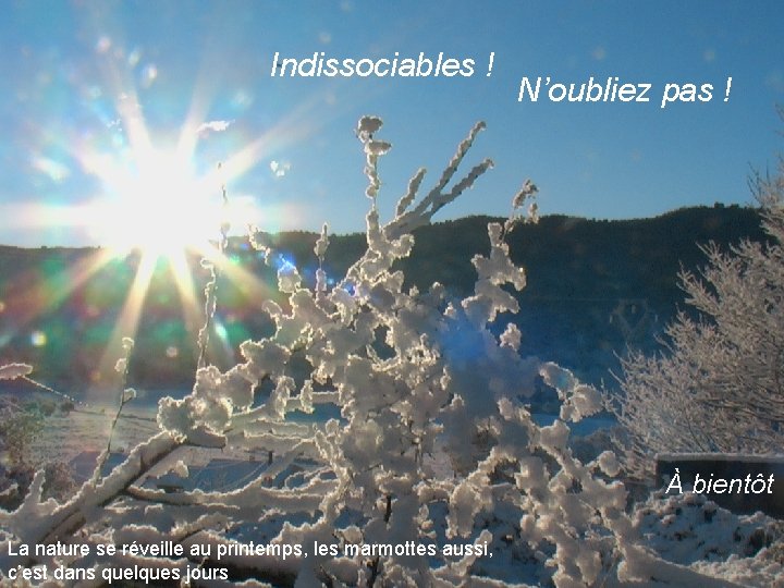 Indissociables ! N’oubliez pas ! À bientôt La nature se réveille au printemps, les