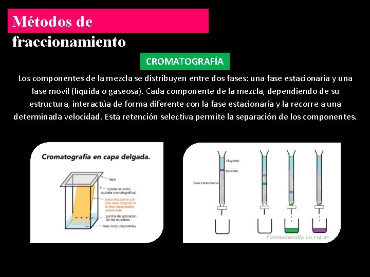 Métodos de fraccionamiento CROMATOGRAFÍA Los componentes de la mezcla se distribuyen entre dos fases: