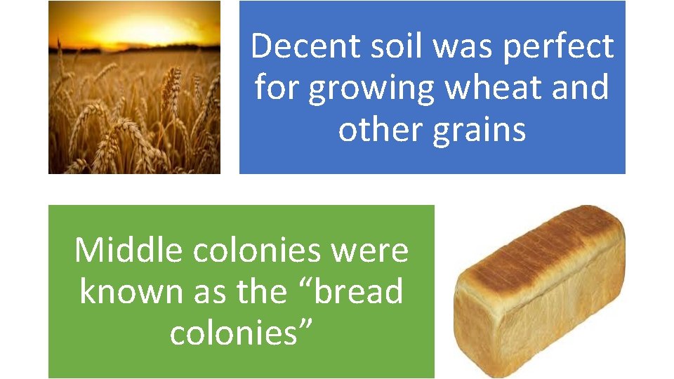 Decent soil was perfect for growing wheat and other grains Middle colonies were known