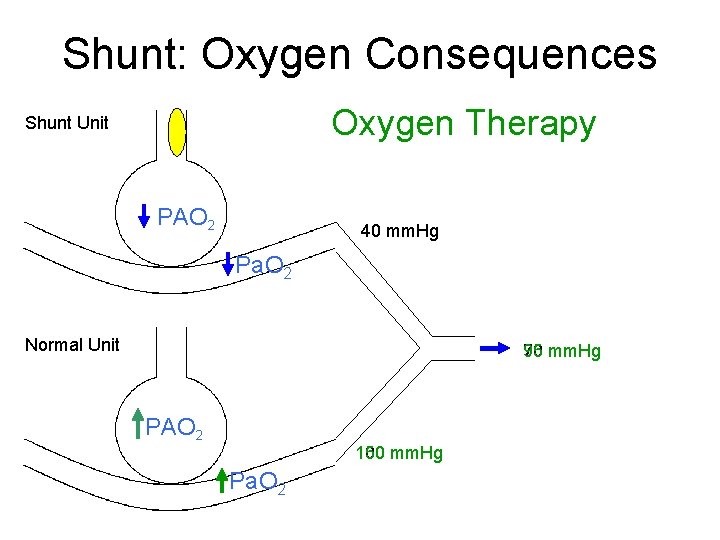 Shunt: Oxygen Consequences Oxygen Therapy Shunt Unit PAO 2 40 mm. Hg Pa. O