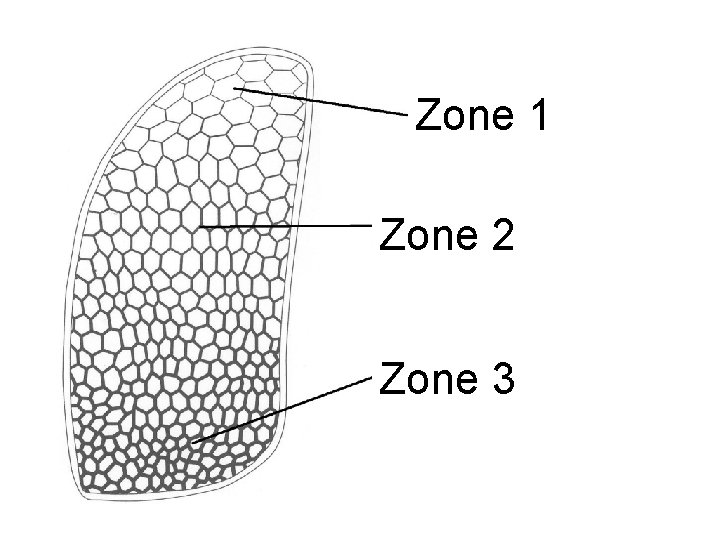 Zone 1 Zone 2 Zone 3 