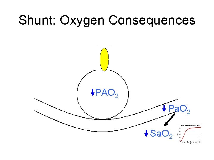 Shunt: Oxygen Consequences PAO 2 Pa. O 2 Sa. O 2 