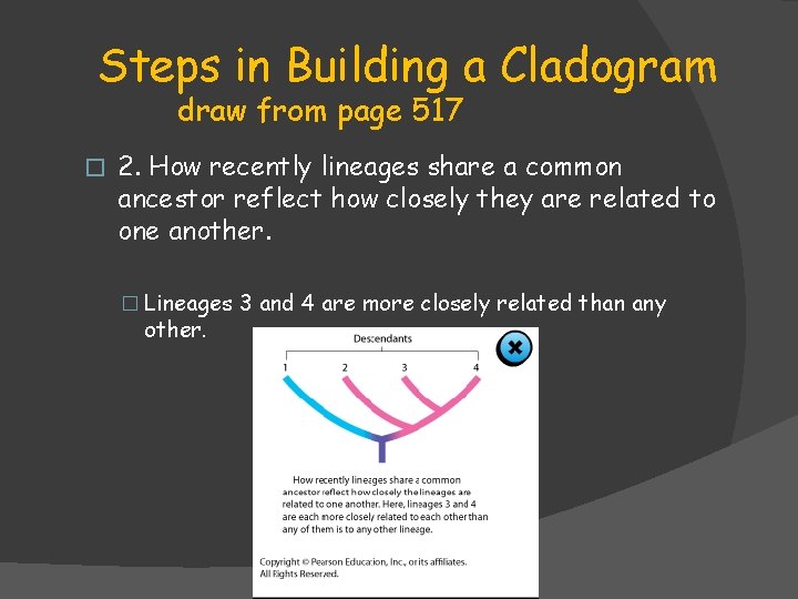 Steps in Building a Cladogram draw from page 517 � 2. How recently lineages Steps in Building a Cladogram draw from page 517 � 2. How recently lineages