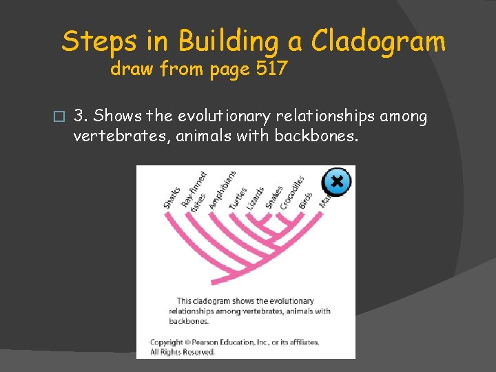 Steps in Building a Cladogram draw from page 517 � 3. Shows the evolutionary Steps in Building a Cladogram draw from page 517 � 3. Shows the evolutionary