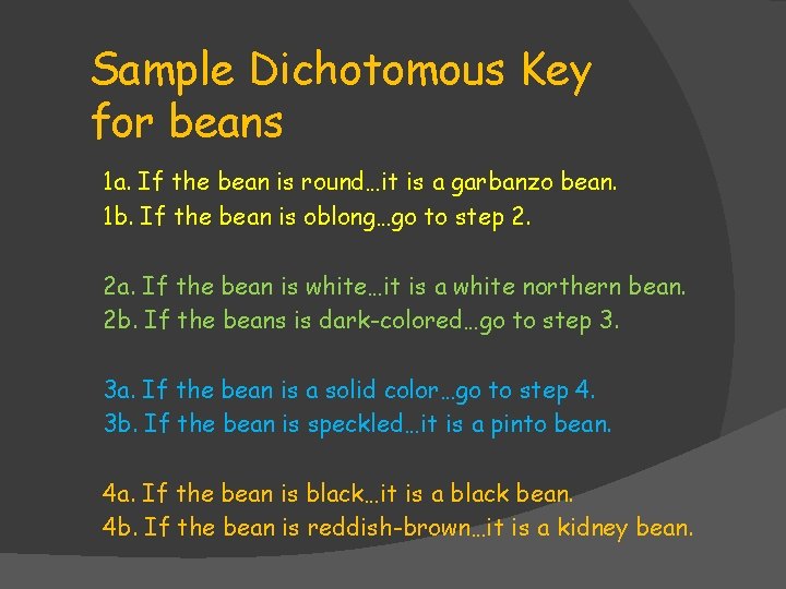 Sample Dichotomous Key for beans 1 a. If the bean is round…it is a Sample Dichotomous Key for beans 1 a. If the bean is round…it is a