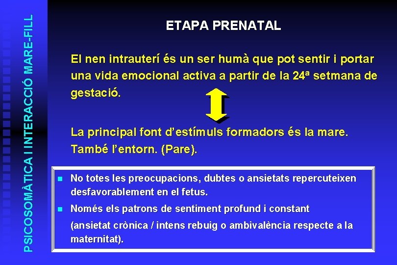 PSICOSOMÀTICA I INTERACCIÓ MARE-FILL ETAPA PRENATAL El nen intrauterí és un ser humà que