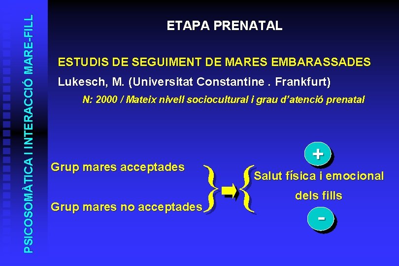 PSICOSOMÀTICA I INTERACCIÓ MARE-FILL ETAPA PRENATAL ESTUDIS DE SEGUIMENT DE MARES EMBARASSADES Lukesch, M.