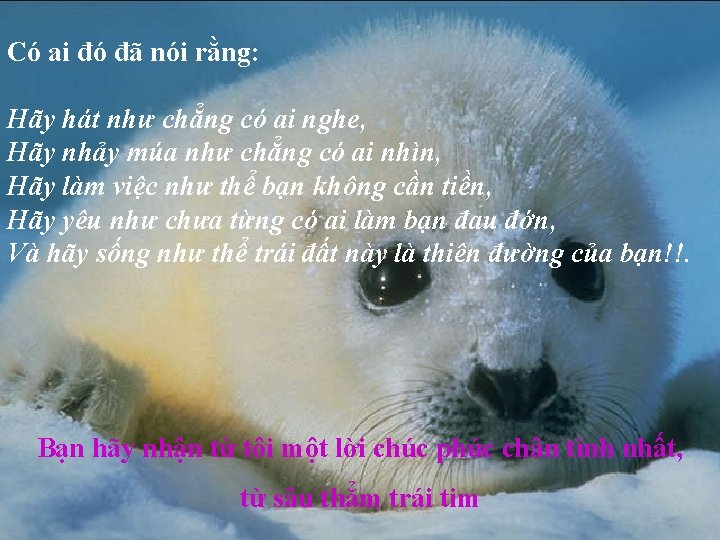 Có ai đó đã nói rằng: Hãy hát như chẳng có ai nghe, Hãy