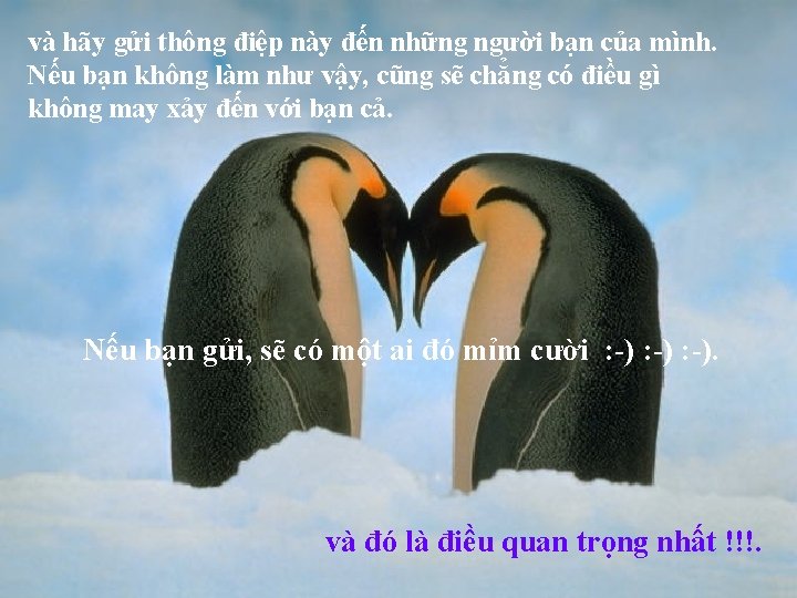 và hãy gửi thông điệp này đến những người bạn của mình. Nếu bạn